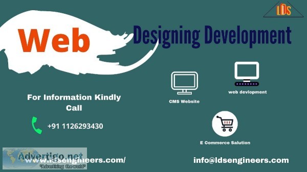 Web Design Agency in USA