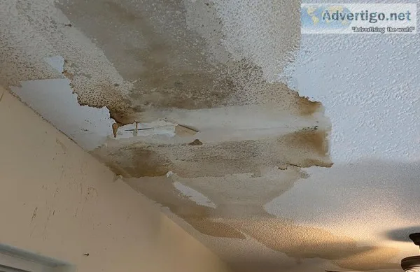 Roof waterproofing Contractors in Bangalore