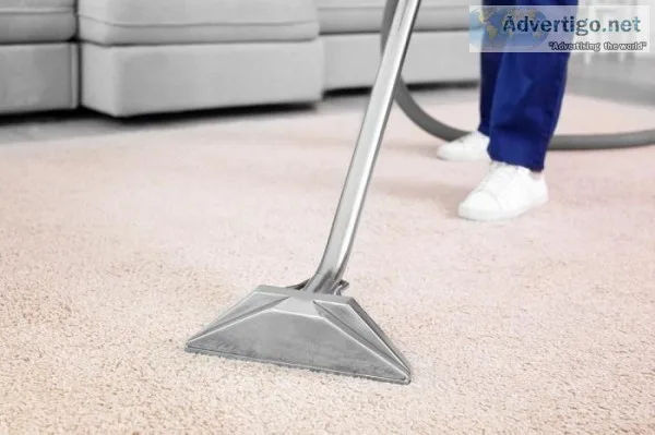 Meet Our Professional Carpet Cleaners In Parker CO