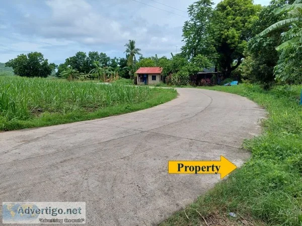 Very accessible farm land - lian batangas - rush sale 