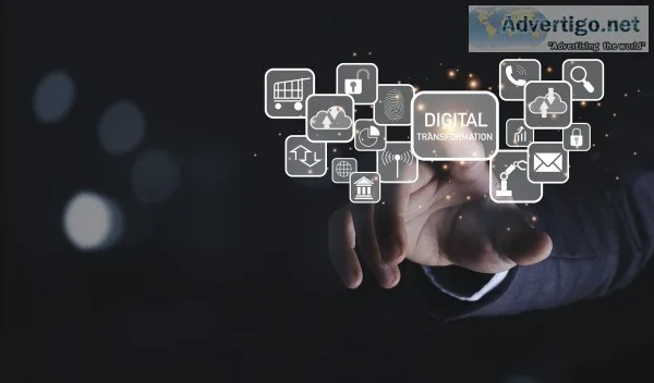 Digital marketing company in delhi india | sam web studio