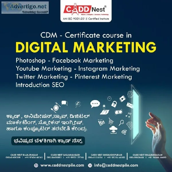 Learn Digital Marketing Course CADD Nest
