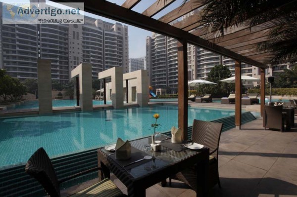 Dlf camellias flat price