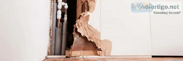Mould Removal Brisbane  Southqldrestoration. com.au