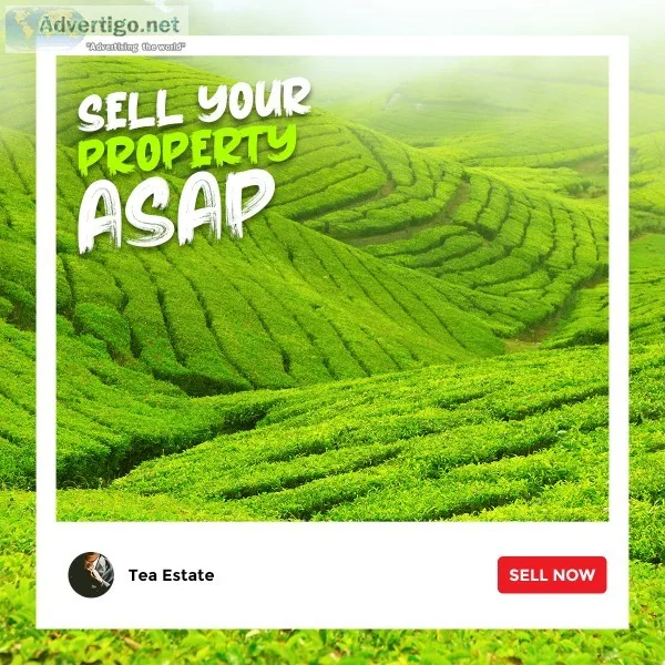 Hill real estate portal for post property ad for free