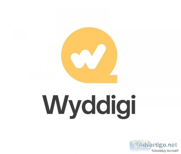 Wyddigi agency - best digital marketing agency in dhule