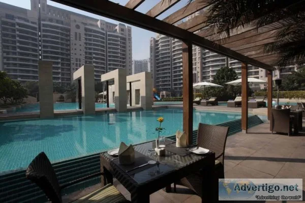 The camellias | dlf camellias floor plan