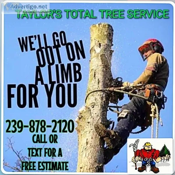 tree and land clearing - FREE ESTIMATE