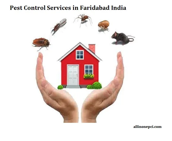 Looking for the best pest control services in faridabad india