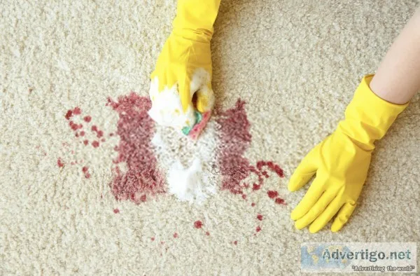 Carpet Stain Removal Sydney Offer Reliable And Affordable Stain 