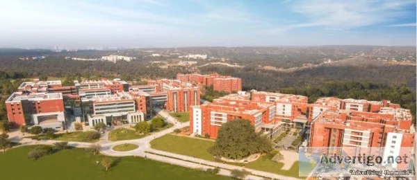Join one of the best BA English colleges in Gurugram