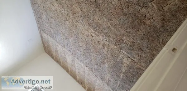 Carpet cleaning