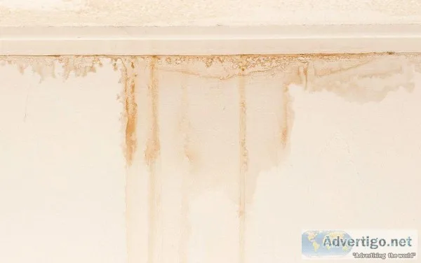 Water Seepage Waterproofing Services