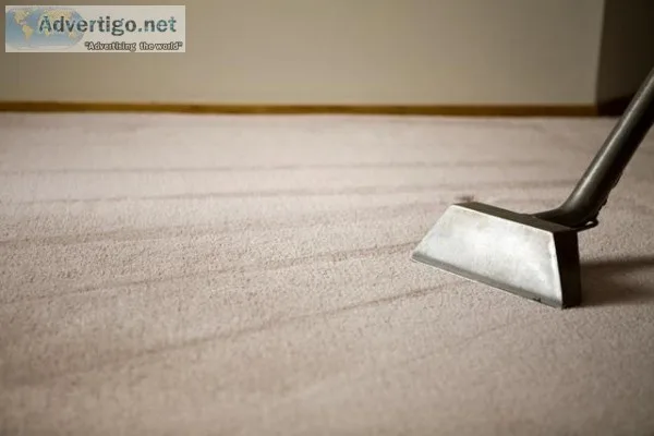 Carpet Steam Cleaning Service Expert in Sydney