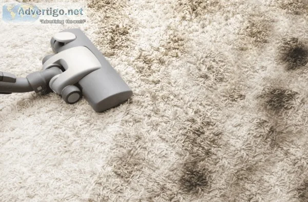 Hot Water Extraction Carpet Cleaner Sydney