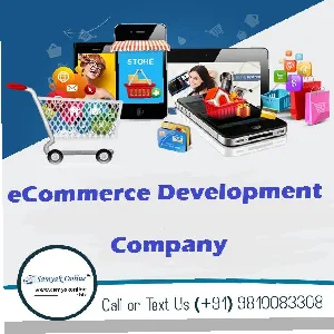 The best ecommerce development company