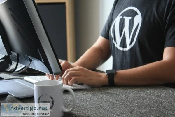 Hire WordPress Developer In India