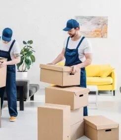 European Removal Services