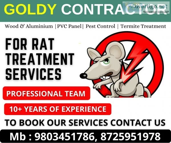 Deemak treatment in Panchkula