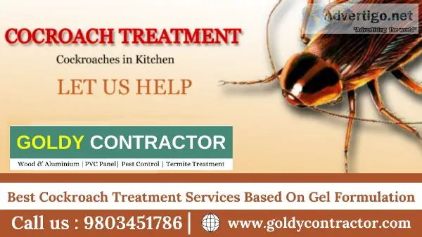 Cockroach Control Treatment in Zirakpur