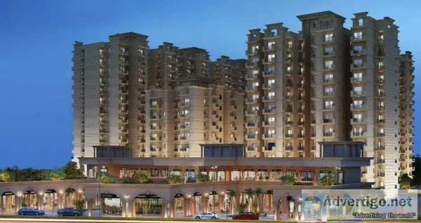 Signature global floors 37d
