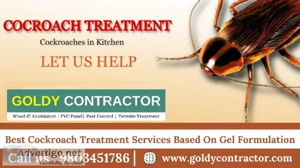 Cockroach Control Services in Zirakpur