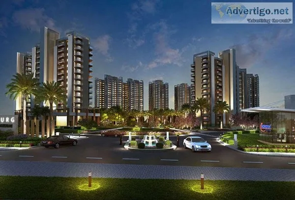 Signature global floors 37d