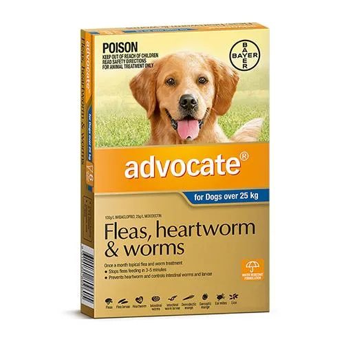 Buy Advocate For Extra Large Dogs Over 25Kg 6 Pack Blue  Discoun
