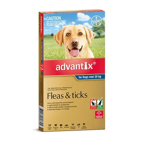 Buy Advantix For Extra Large Dogs Over 25Kg 6 Pack Blue  Discoun