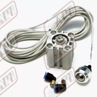 Buy Cylinder Assy SSD-L-25-15-T5V5-H Amada  74568610  7832804A