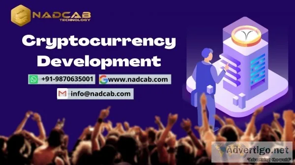 Cryptocurrency software platform development