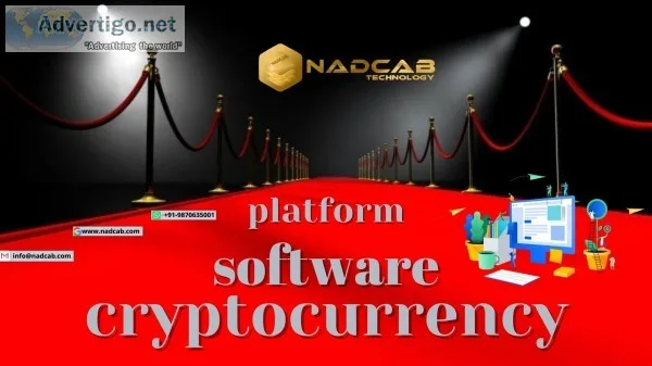 Cryptocurrency software platform development