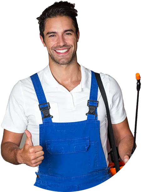 Pest Control Services in Gurgaon