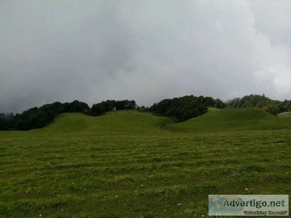 Ali bedni bugyal trek  Best himalayan trip