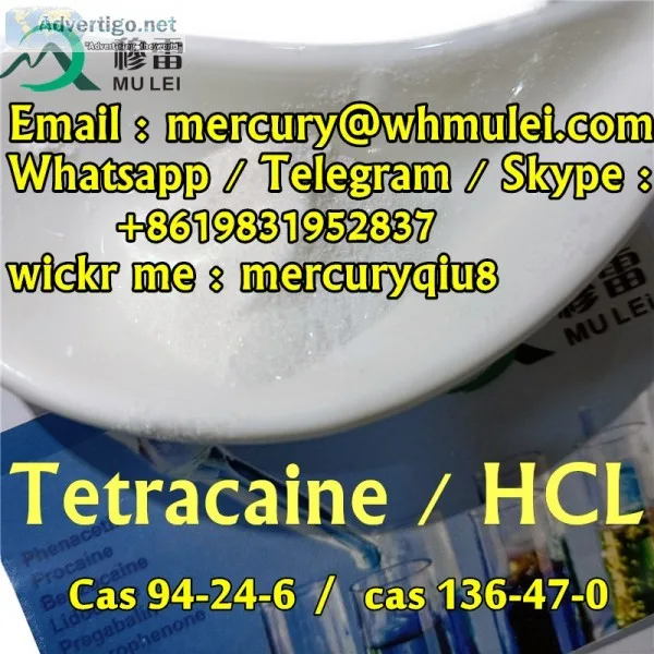 High purity 995% tetracaine base tetracaine hcl powder with good