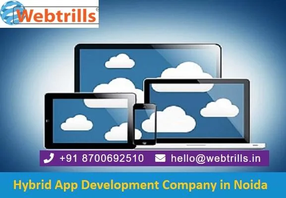 Hybrid App Development Company in Noida