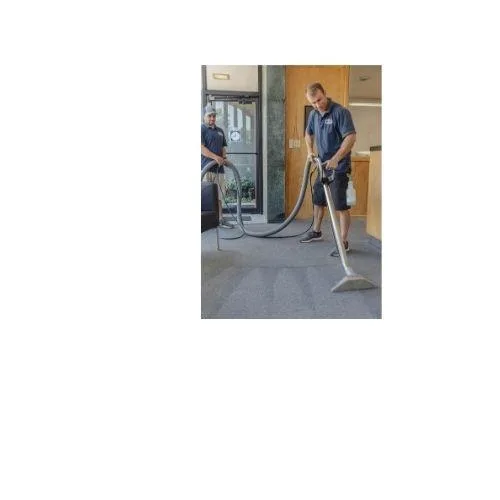 Affordable Carpet Cleaning Services in Cda Idaho