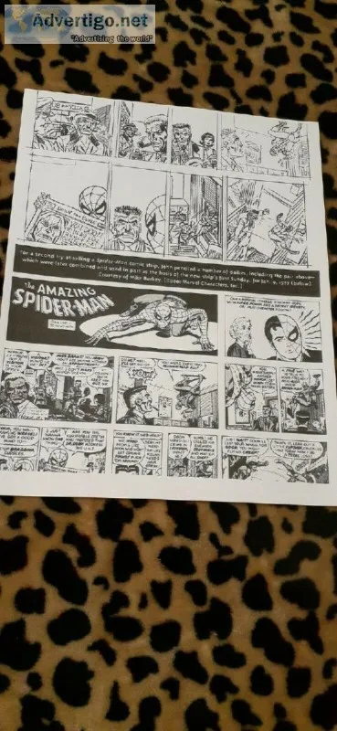 AMAZING SPIDER MAN COMIC STRIP