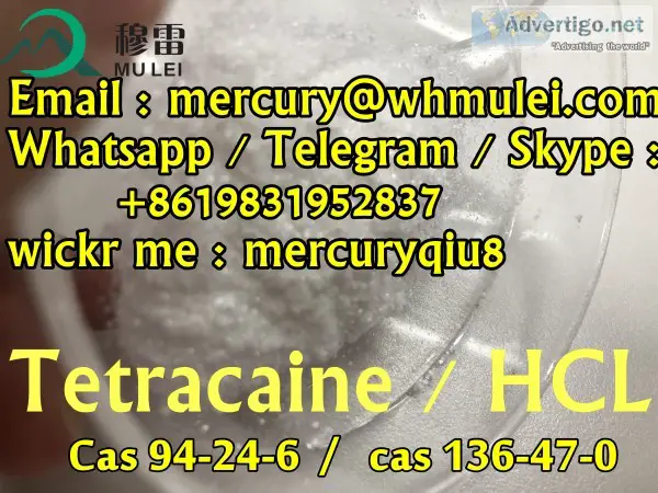 High purity 995% tetracaine base tetracaine hcl powder with good