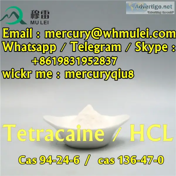 High purity 995% tetracaine base tetracaine hcl powder with good