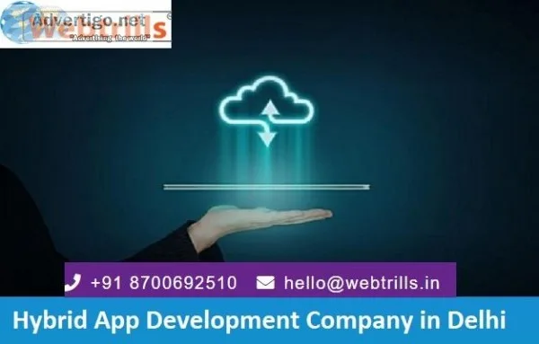 Hybrid App Development Company in Delhi
