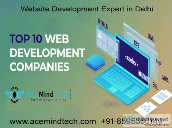 Should I hire a Website development Expert