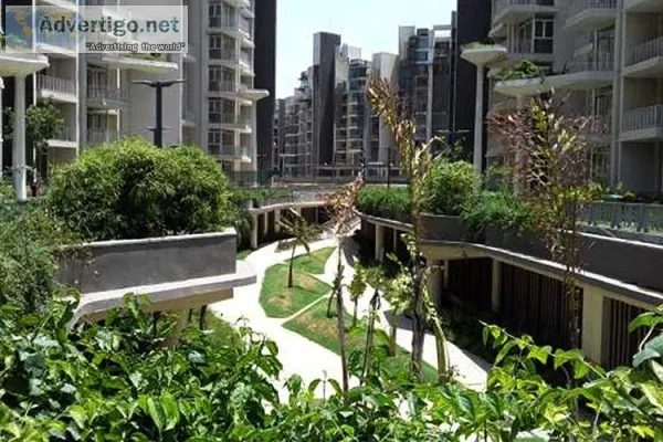 service apartments in ireo victory valley  2 bhk service apartme