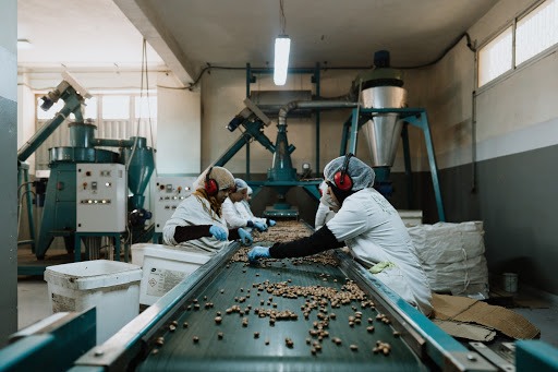 Culinary argan oil from morocco