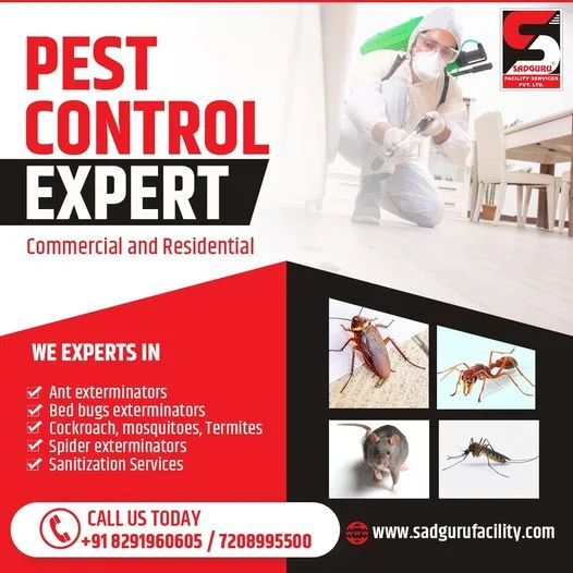 Pest control near me - sadguru pest control