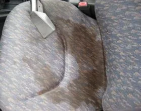 Upholstery Cleaning Brisbane