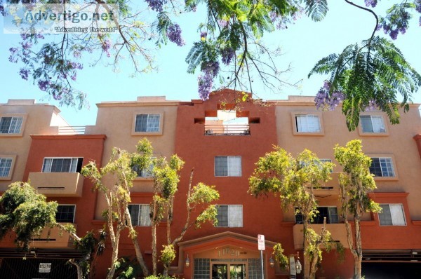 Large 2 Bed2 Bath &ndash Beautiful - Private Rooftop Patio