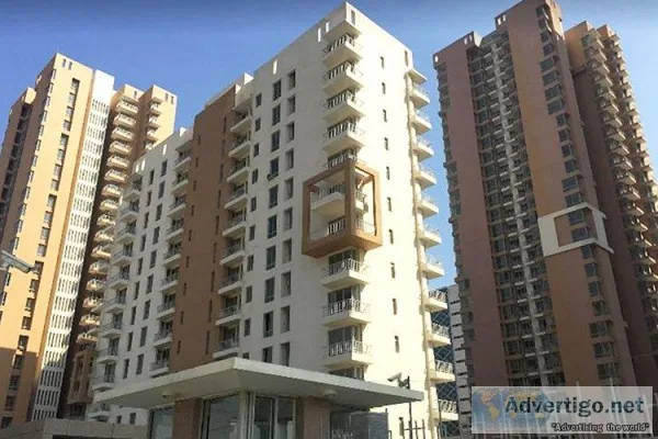 pioneer park for rent in Gurgaon  2 bhk luxury apartments on gol