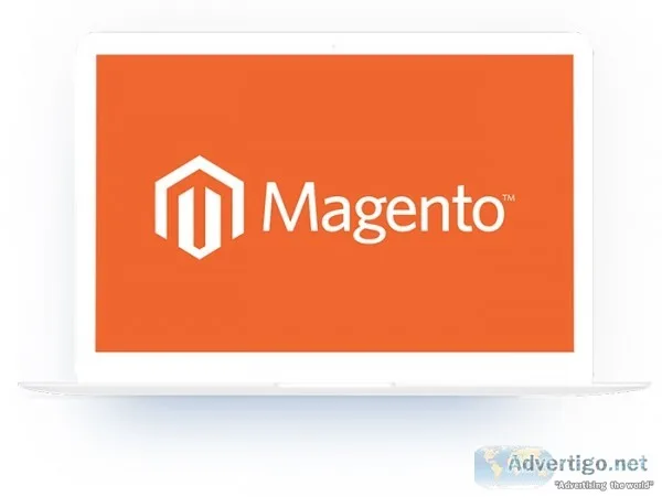 Magento ecommerce development agency in delhi