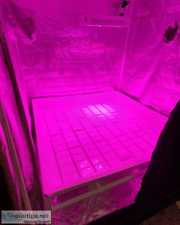 Active Aqua Flood Tray 4x4